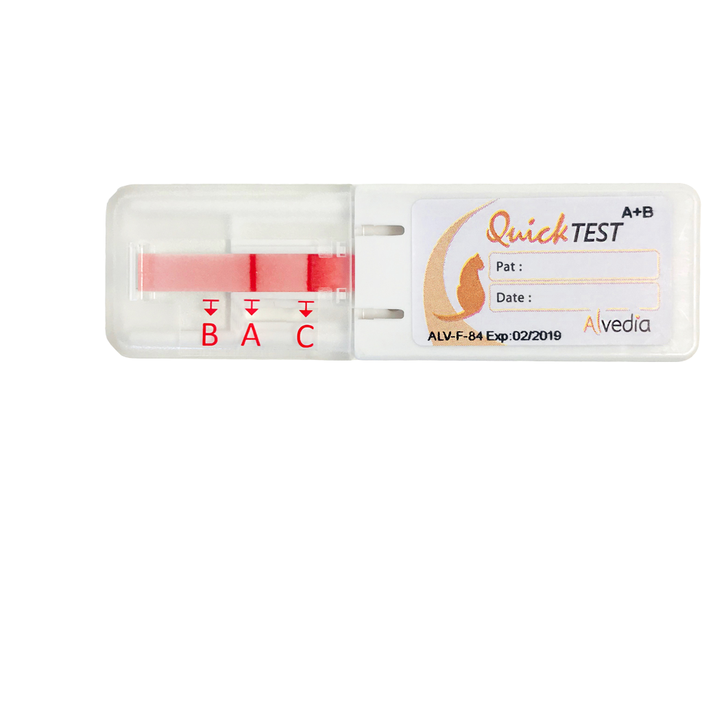 quick test paste quick test paste