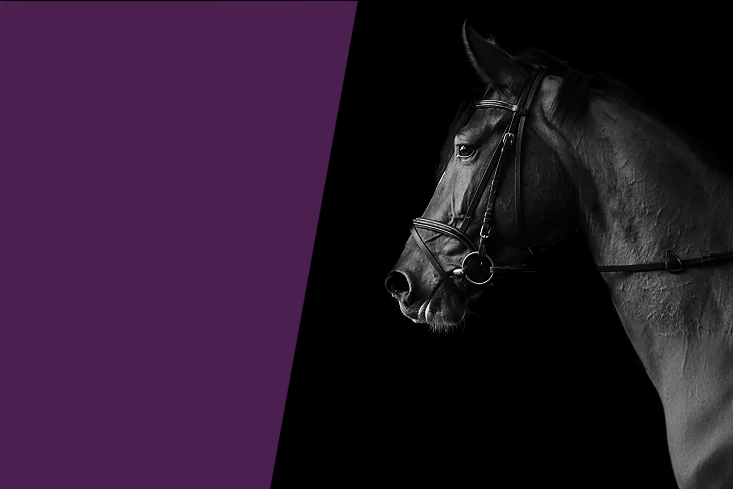 Equine gelt test DAT header